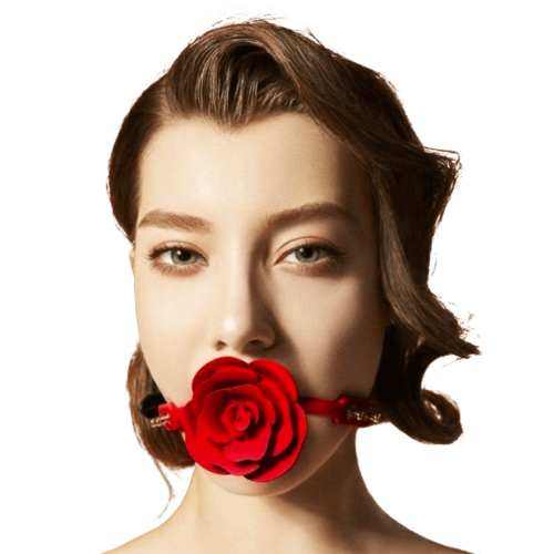 업코 장미 재갈