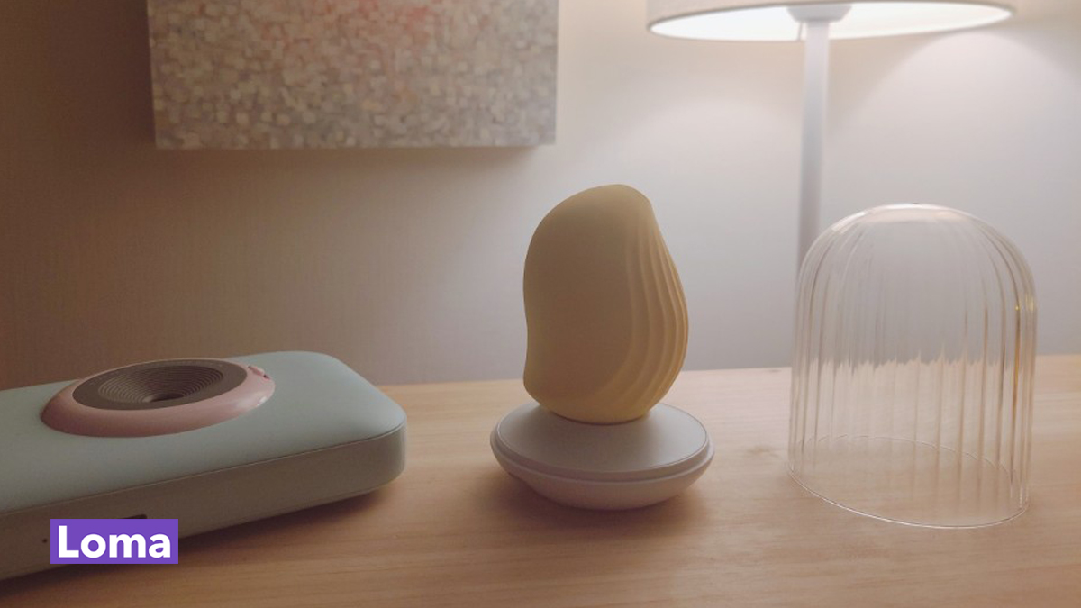 커들리 버드, 반려토이